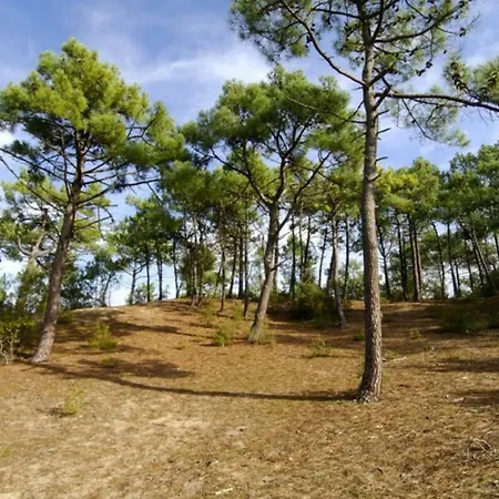 Vue Sion-sur-l'ocean *