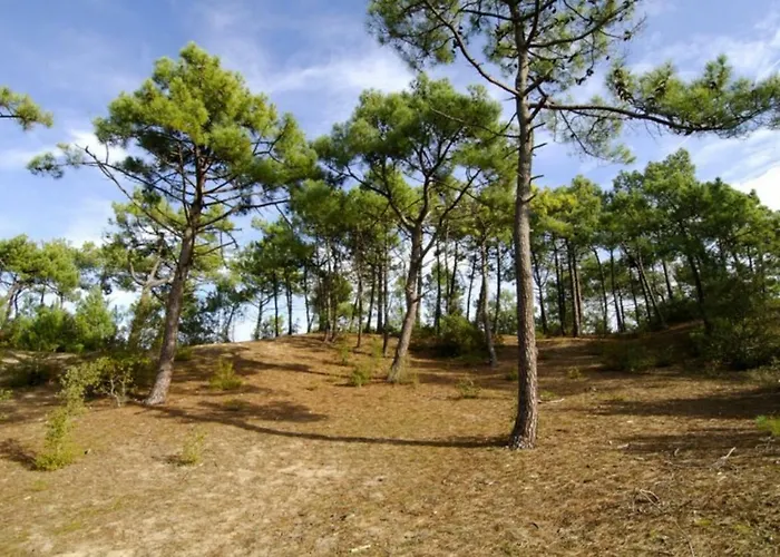 Vue Sion-sur-l'ocean *